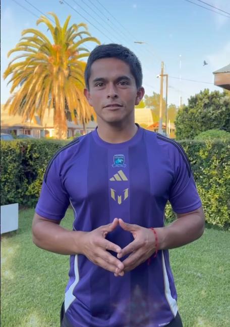 profe luis